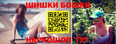 крисы Новодвинск